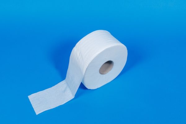 Toilettenpapier mini 2-lagig weiss 160m